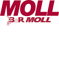 B&R Moll, Inc.