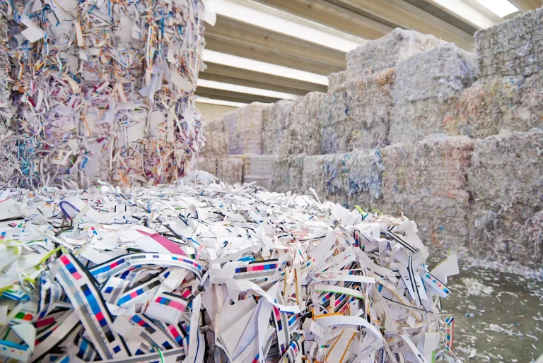 Advancing Paper Recycling’s Success into the Future