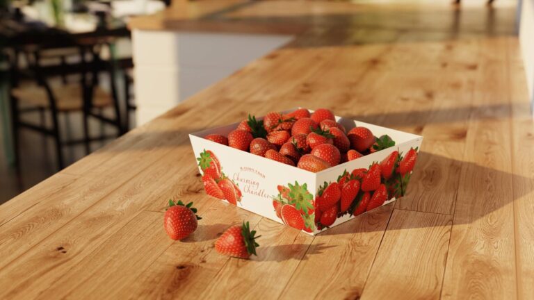 Metsä Board’s Latest Verified Carbon Footprint Case Study* Compared Berry Trays Made of Metsä Board’s Dispersion Barrier Board to Trays Made of PET Plastics