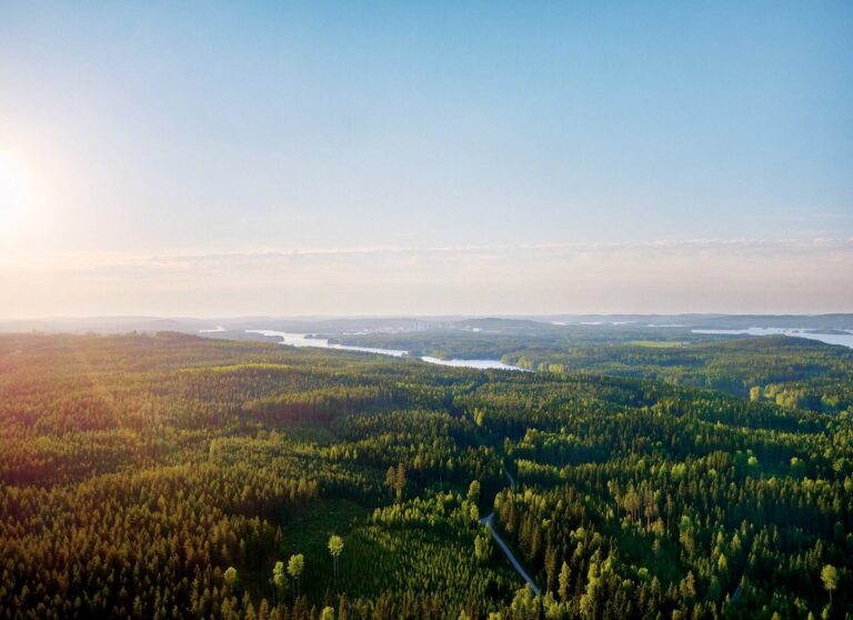 Metsä Board on CDP’s prestigious Triple A List – Recognized Leader in Climate, Water and Forest Security